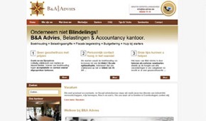 B&A Advies